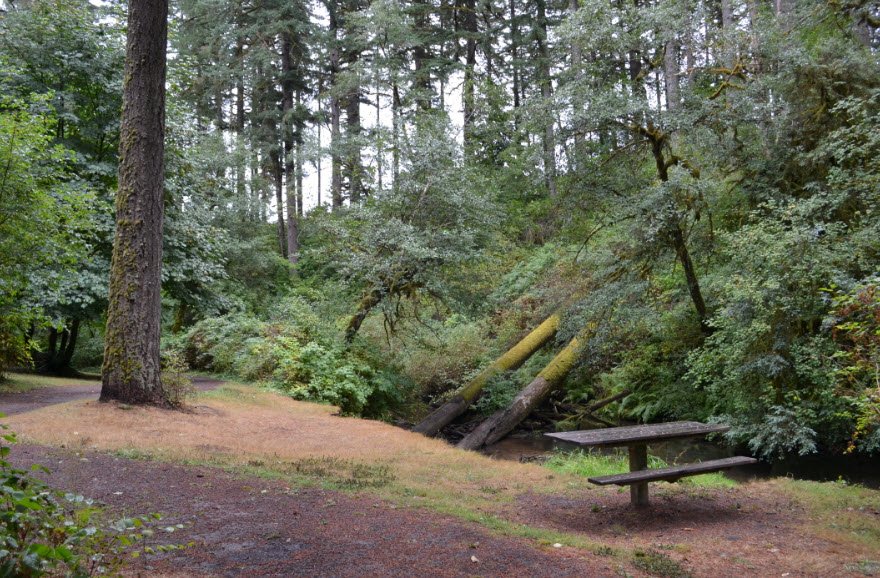 Alderwood State Wayside, Oregon, USA